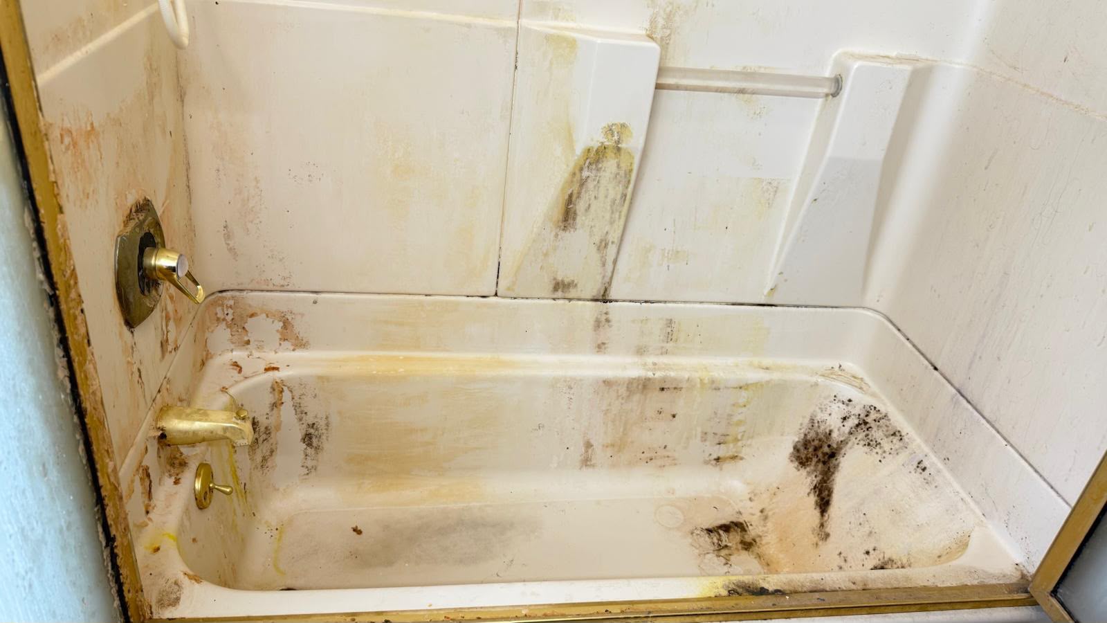 Restroom before professional sanitizing